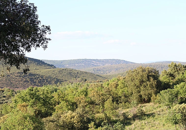 La Junta da permiso para investigar la existencia de titanio en 800 hectáreas de Helechosa de los Montes